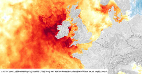Une sévère canicule marine embrase les eaux bordant l'Europe du Nord | Biodiversité - @ZEHUB on Twitter | Scoop.it