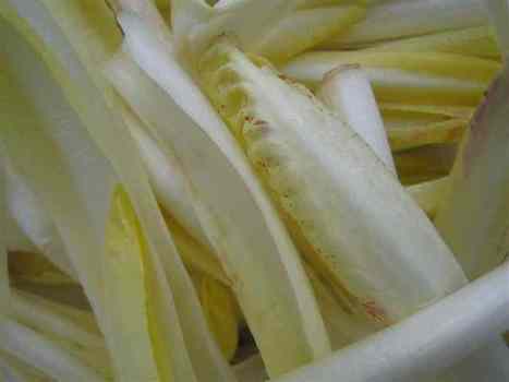 Growing Belgian Endive Kitchen Gardeners Inte