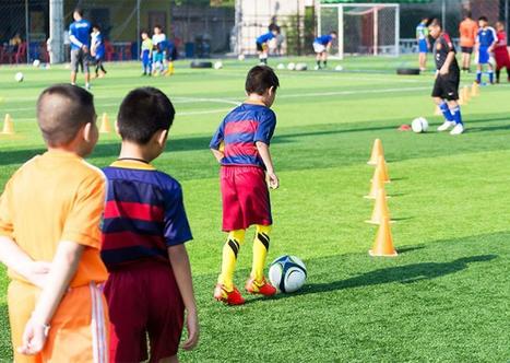 Agence nationale du sport : derniers réglages avant décollage | L'actualité de la politique de la ville | Scoop.it
