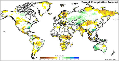 Crop Monitor for Early Warning No. 91 Published March 7th, 2024 Conditions as of February 28th (GEOGLAM Crop Monitor) | MED-Amin network | Scoop.it