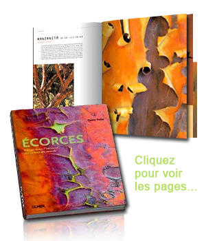 Cedric Pollet - Ecorces | Livres photo | Scoop.it