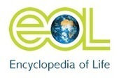What is EOL? - Information and pictures of all species known to science - Encyclopedia of Life | Aprendiendo a Distancia | Scoop.it
