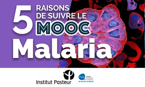 5 raisons de suivre le MOOC Malaria | Variétés entomologiques | Scoop.it