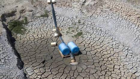 Drought hits food bills for Aussie homes | Stage 5 Sustainable Biomes | Scoop.it
