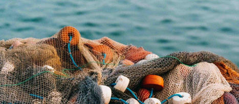 Des filets "intelligents" pour une PECHE plus respectueuse de l’environnement ? | CIHEAM Press Review | Scoop.it