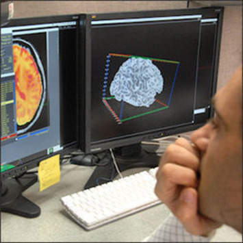 Scientists discover brain's method of suppressing distractions | Family Office & Billionaire Report - Empowering Family Dynasties | Scoop.it