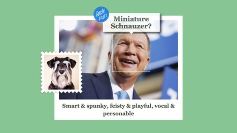 Microsoft's new what-dog-is-your-face tool is good, dumb fun | consumer psychology | Scoop.it