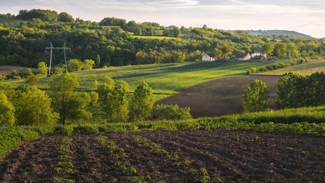 « Rendez-vous en Terre agricole » revient dans le Hainaut, du 1er au 31 mai | Ecodéveloppement territorial | Scoop.it