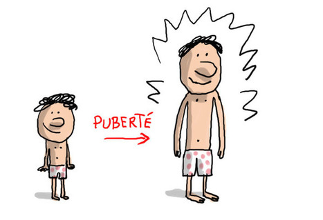 C'est quoi, la puberté ? - 1jour1actu.com - L'actualité à hauteur d'enfants ! | FLE enfants | Scoop.it