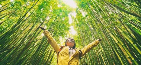 How to ensure sustainability within healthcare | Sustainable Procurement & CSR News - Pharmaceutical Industry | Scoop.it