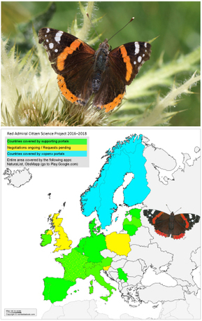 Aider les chercheurs à suivre la migration du Vulcain en Europe | Biodiversité | Scoop.it