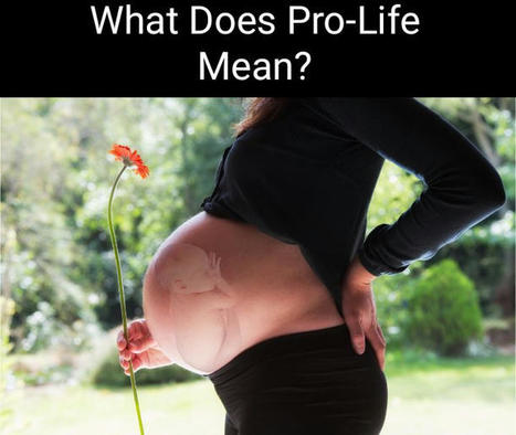 What Does Pro Life Mean? A Lesson For The World | Christian Inspirational Blog | Scoop.it