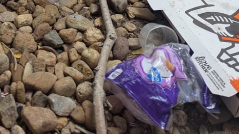 Resident makes shocking discovery after peeking over fence into neighbor's yard: 'This was what greeted us' | Industry 411 - Waste Management | Scoop.it