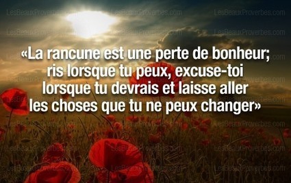 Proverbe du jour | Trollface , meme et humour 2.0 | Scoop.it