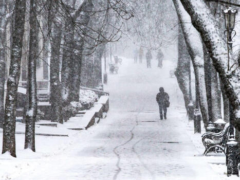 Ven&auml;j&auml;n palkoissa huolestuttava ilmi&ouml; | 1Uutiset - Lukemisen t&auml;hden | Scoop.it