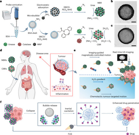 Enzymatic microbubble robots | Nnano | RMH | Scoop.it
