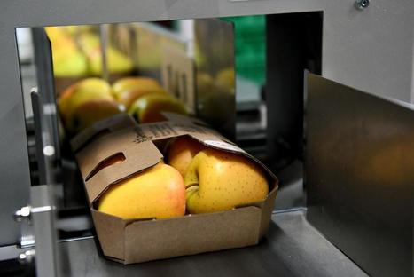 Comment deux entreprises de Corrèze ont inventé un emballage écolo pour les pommes - Brive-la-Gaillarde (19100) | La sélection d'ADI | Scoop.it