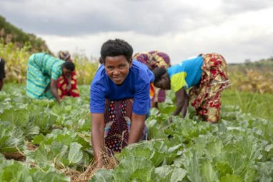 Le Rwanda vise 335 millions $ d’investissements privés pour la résilience agricole | Questions de développement ... | Scoop.it