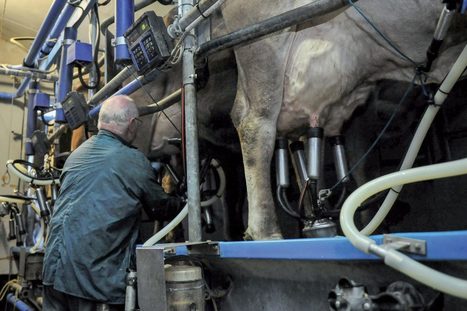 Suisse : Prolait cède la commercialisation de son lait industriel à la société coopérative Mooh | Lait de Normandie... et d'ailleurs | Scoop.it