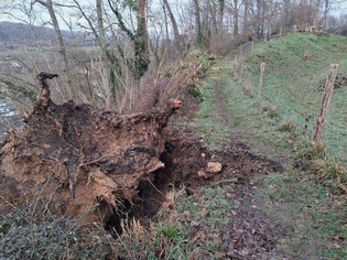 Des habitations menac&eacute;es &agrave; Montfort-sur-Risle, le conseil municipal a donn&eacute; son accord pour une intervention urgente | Une semaine d'actu - Newsletter de veille de l'AURH | Scoop.it