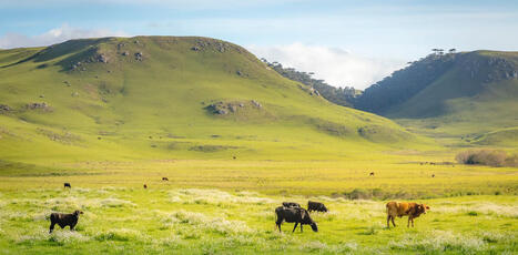 UE-MERCOSUR: Quand la radiochronologie retrace l&rsquo;histoire agricole de&nbsp;la&nbsp;Pampa en&nbsp;Am&eacute;rique du&nbsp;Sud | COMMERCE & LOGISTIQUE | Scoop.it