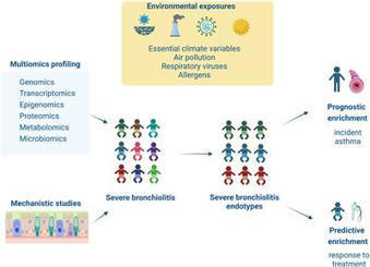 Frontiers | Editorial: Bridging the gap between immunology, virology, genetics, and epigenetics in bronchiolitis: The multiomics pathway to asthma development | Allergy (and clinical immunology) | Scoop.it