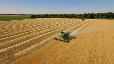 MONDE : Les prix des c&eacute;r&eacute;ales sont redescendus des sommets, apr&egrave;s six mois de guerre en Ukraine&nbsp; | CIHEAM Press Review | Scoop.it