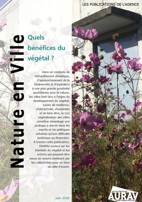 Nature en ville : quels b&eacute;n&eacute;fices du v&eacute;g&eacute;tal ? | Une semaine d'actu - Newsletter de veille de l'AURH | Scoop.it