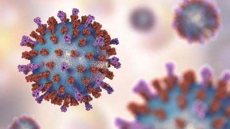 Novavax setback for RSV vaccine after failed clinical trial&nbsp; | Virus World | Scoop.it