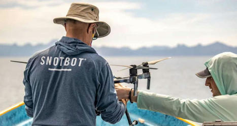 Tagging Whales From Above: How Drones are Transforming Marine Research (Again) | Remotely Piloted Systems | Scoop.it