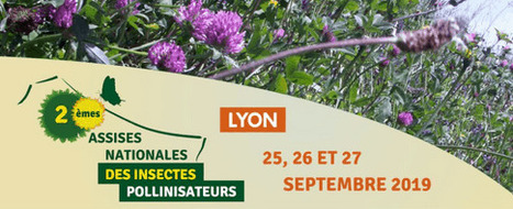Assises nationales des insectes pollinisateurs | Arthropologia – du 25 au 27 septembre à Lyon - Afac-Agroforesteries | Variétés entomologiques | Scoop.it