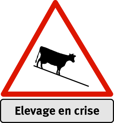 L'élevage bovin s'enfonce dans la crise | Lait de Normandie... et d'ailleurs | Scoop.it
