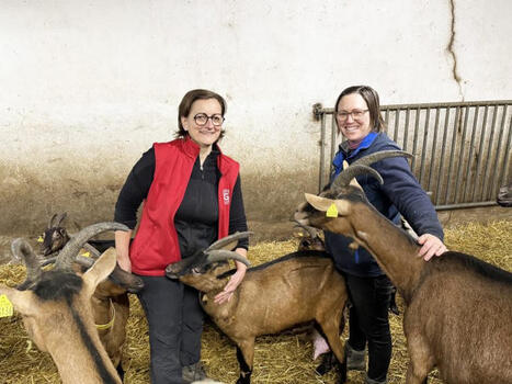 La Ch&egrave;vrerie de Gouaux : Immersion dans une ferme de montagne | Vall&eacute;es d'Aure & Louron - Pyr&eacute;n&eacute;es | Scoop.it