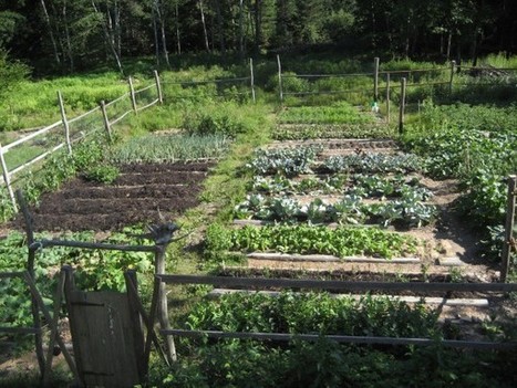 Off-grid hostel | 1001 Gardens | 1001 Gardens ideas ! | Scoop.it