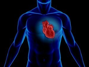 CoQ10 can boost heart function in heart failure patients: Meta-analysis | Longevity science | Scoop.it