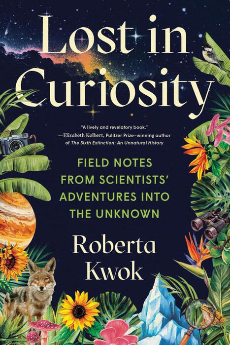 Lost in Curiosity by Roberta Kwok | Elliott Bay Book Company | RAINFOREST EXPLORER | Scoop.it
