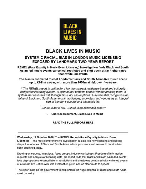 REMEL Report | Race and diversity | Scoop.it