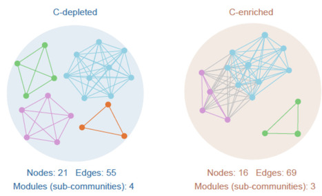 Single-cell assembled genomes predict enhanced bacterial metabolic cross-feeding potential in carbon-enriched soils | isme | RMH | Scoop.it