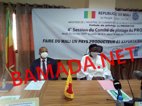 Bétail/viande du Mali : des actions honorables pour la promotion du secteur | Maliweb | La Gazette des abattoirs | Scoop.it