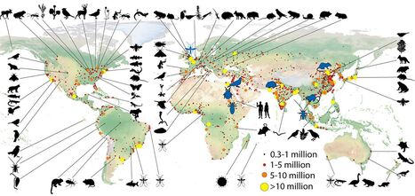 Quand Darwin arrive en ville&nbsp;: comment la jungle urbaine bouleverse la s&eacute;lection naturelle des animaux | EntomoScience | Scoop.it