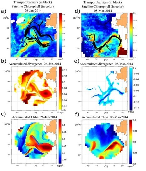 Observer comment les structures à fine échelle de la circulation océanique contrôlent la distribution phytoplanctonique et sa variabilité dans l’océan côtier | Biodiversité | Scoop.it