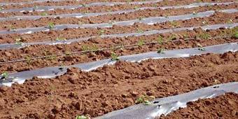 Le minist&egrave;re de l'agriculture renforce sa strat&eacute;gie de lutte contre les al&eacute;as climatiques - La Vie &eacute;co (Maroc) | Gestion Durable des Ressources | Scoop.it