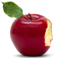 Apple's own Macs bitten by Java-based malware attack | Apple, Mac, MacOS, iOS4, iPad, iPhone and (in)security... | Scoop.it