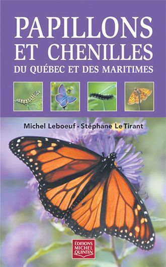 Les papillons printaniers sen viennent | Variétés entomologiques | Scoop.it