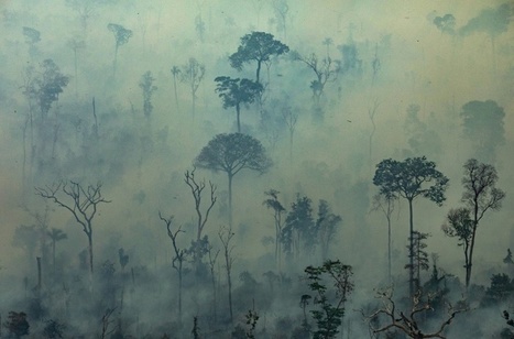 Incendies en Amazonie: des centaines de nouveaux feux, l'émotion grandit | Risques du monde d'aujourd'hui et du "monde d'après" : changement climatique, pollution, santé, modes de vie, démographie, crises sociales, cyber......) | Scoop.it