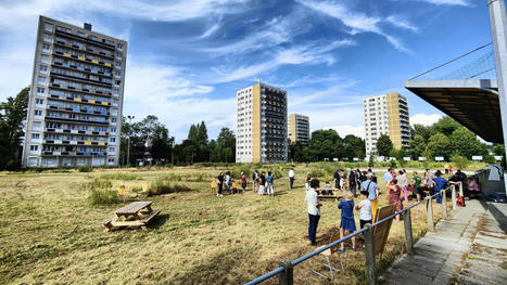 Une &laquo; terre v&eacute;g&eacute;tale fabriqu&eacute;e &raquo; en test dans le quartier des Oliveaux | Nature en ville | Scoop.it