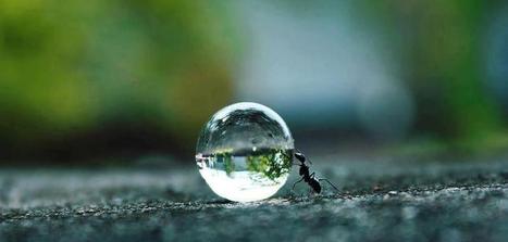 water is a life | Eco-Friendly Lifestyle | Scoop.it