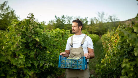 Podcast (37') - Comment les vignerons fran&ccedil;ais se r&eacute;inventent | Revue de presse du Centre de doc | Scoop.it