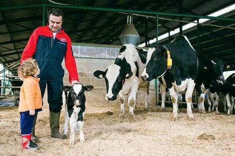 En lait, une meilleure productivité ne suffit pas - Journal Paysan Breton | Lait de Normandie... et d'ailleurs | Scoop.it