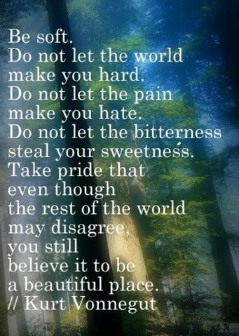 "Be soft..." Kurt Vonnegut quote | Personal Growth & Change | Scoop.it
